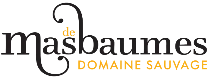 À 45 minutes de Montpellier, le Mas de Baumes est un domaine sauvage au cœur du Pic-Saint-Loup. Cadre authentique et sans contrainte horaire, il offre service traiteur maison, brunchs du lendemain et hébergements variés (hôtel, gîtes et tipis) pour faire de chaque mariage une expérience unique et inoubliable.